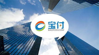 宝付支付 深耕通信电商领域，携手行业巨头共绘新蓝图